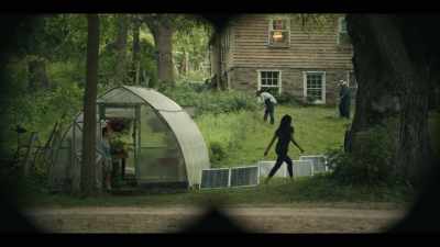 They got a greenhouse. - Y: The Last Man
