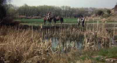 They got 'em up! Skip on down. - Butch and Sundance: The Early Days