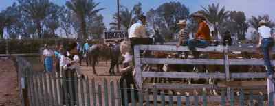 They got us over here
with the livestock. - Bus Stop