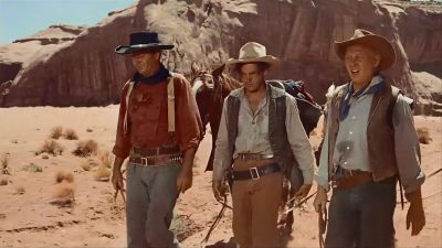 They gotta stop - The Searchers