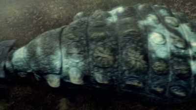 THEY HAD DIFFERENT SCUTES
ON THE SHOULDERS - Dino Hunters