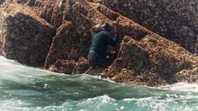 They harvest goose barnacles
from razor-sharp rocks - This Giant Beast That is the Global Economy