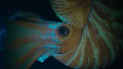 They have complex nervous systems, - Prehistoric Planet