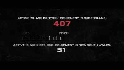 They have expanded
and intensified - Envoy: Shark Cull