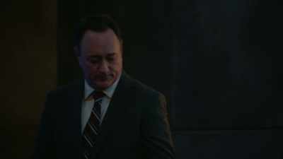 They have to hide from Krypsys - True Lies