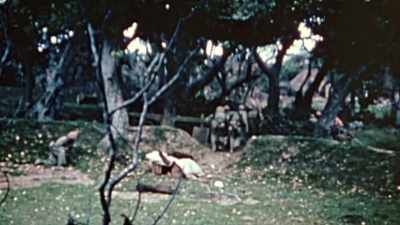 They have run
into the Shuri Line, - The Pacific War in Color