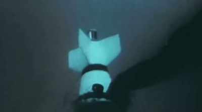 They have
search-and-recovery animals. - Mysteries of the Deep