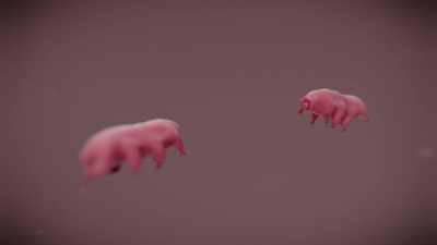They have survived all
five mass extinctions, - Cosmos: Possible Worlds