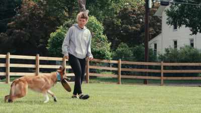 They have tails that help balance them, - Inside the Mind of a Dog