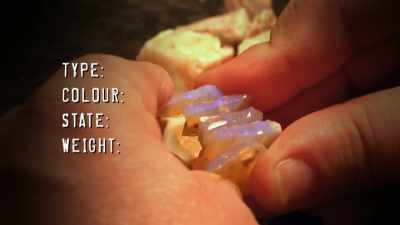 They have transparent crystal opal,
which is highly prized. - Outback Opal Hunters