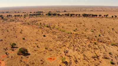 They head towards the Galana River,
which flows year-round. - Our Great National Parks