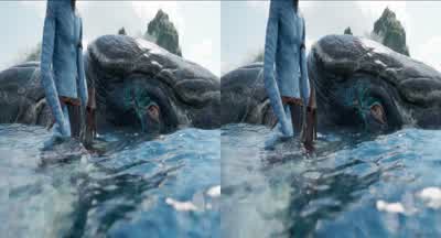 They hurt you, didn't they? - Avatar: The Way of Water