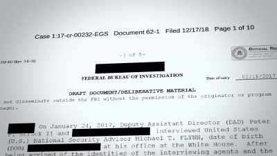 They interviewed General Flynn, - The Plot Against the President