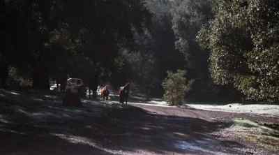 They just left the livery stable
on Bent Oak Road... - The Dukes of Hazzard