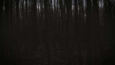 They just packed up
and moved right out, - Secrets of the Sasquatch