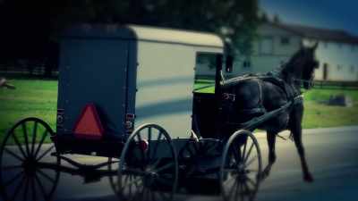 They just sort of operate
within their own realm - Sins of the Amish