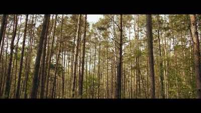 They keep walking,
and one of them gets attacked! - Nobody Sleeps in the Woods Tonight