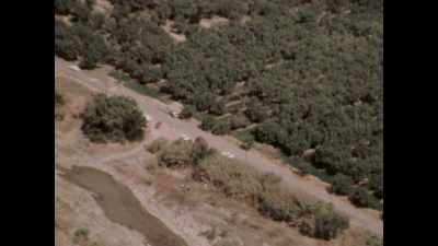 They knew something - Chowchilla