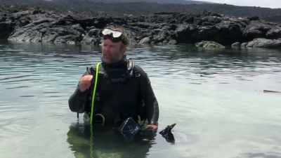 They know how to push them
into those bottlenecks - Blue Planet II