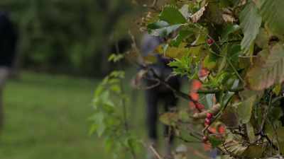 THEY LAUGH - Extraordinary Escapes with Sandi Toksvig