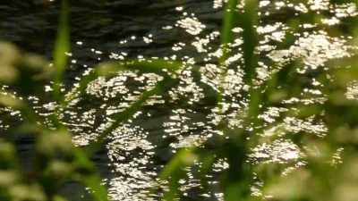 THEY LAUGH - Mortimer & Whitehouse: Gone Fishing