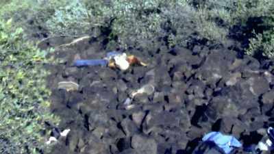 They were layin' on
this black basalt rock, - Lust for Gold: A Race Against Time