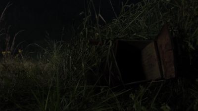 They led us here. - The Walking Dead