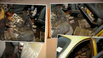 They left the shell casing-- - The Killer Truth