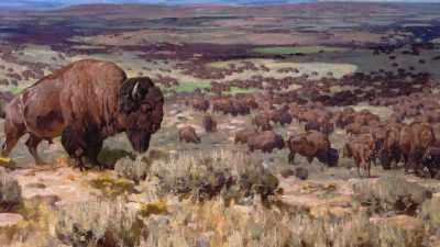 They were like walking
gold pieces." - The American Buffalo