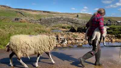 They live a very busy and full life - Our Yorkshire Farm