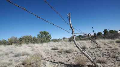 They live in the desert. - Buried In The Backyard