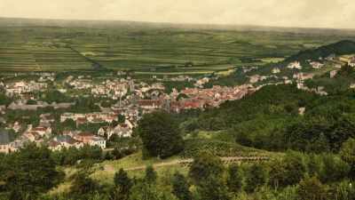 They were living in Seesen - Thomas Sowell: Common Sense in a Senseless World