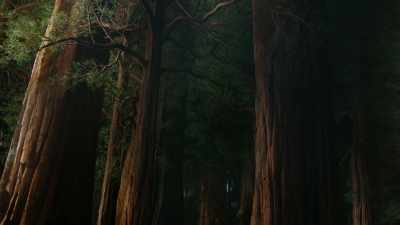 They look much
the same to us today, - Cosmos: Possible Worlds