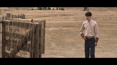 They were mine! - The Power of the Dog