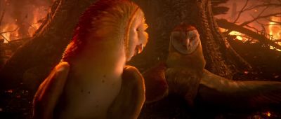 They were moon blinking other owls and turning them into slaves - Legend of the Guardians: The Owls of Ga'Hoole