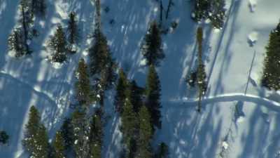 They move fast by avoiding the deep snow, - Our Planet