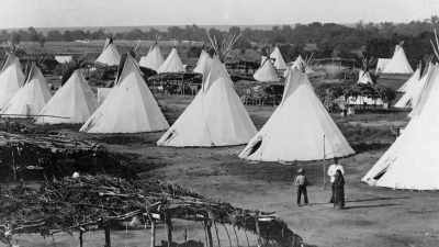 They moved south,
across familiar territory - The American Buffalo