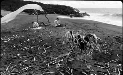 They must have died - The Wild Boys