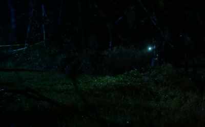 They must've drawn up that map,
so they could find it again. - Aurora Teagarden Mysteries: Haunted By Murder