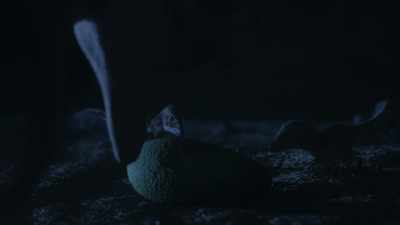 They need to learn
that this strange new object is food. - Prehistoric Planet