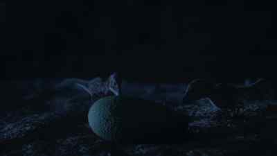They need to learn
that this strange new object is food. - Prehistoric Planet