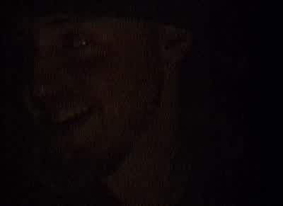They had no beer on the island manIf they'd had beer they would have had like big ass orgies - The Blair Witch Project