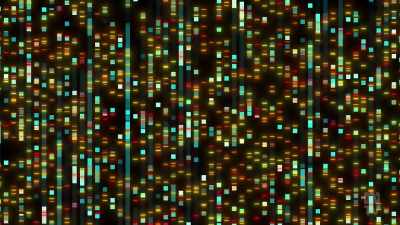 They only make up about 2% of our DNA - The School That Tried to End Racism
