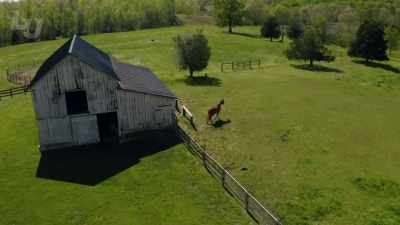 They own, like, a 500, 600-acre farm - God Forbid