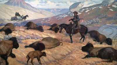 They piled the hides
into the wagons - The American Buffalo