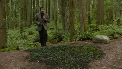 They postponed
present gratification
for later advantage. - Cosmos: Possible Worlds