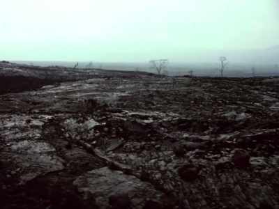 They were probably running
at 60 to 70 kilometers per hour. - Fire of Love