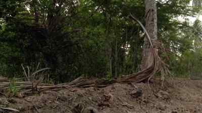 They pulled out, lieutenant! - Heartbreak Ridge