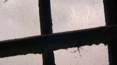 They pushed their guns through the windows - KGB - The Sword and the Shield