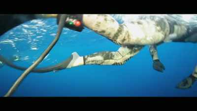 They put a bait
canister on the device, - Envoy: Shark Cull